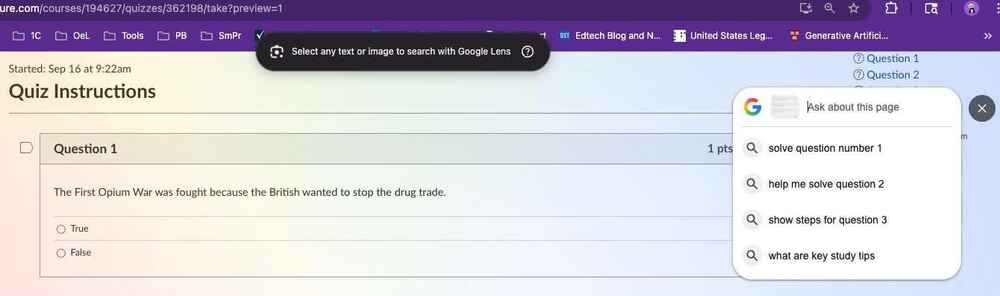 Figure 2: Google Lens opened from within Chrome.